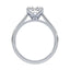 Billie Tulip Cathedral Solitaire Setting