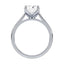 Billie Tulip Cathedral Solitaire Setting