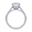 Billie Tulip Cathedral Solitaire Setting