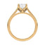 Billie Tulip Cathedral Solitaire Setting