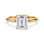 lm-preview|billie-tulip-cathedral-solitaire-setting|yellow|emerald