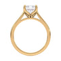 lm-preview|billie-tulip-cathedral-solitaire-setting|yellow|emerald
