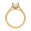 Billie Tulip Cathedral Solitaire Setting