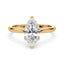 Billie Tulip Cathedral Solitaire Setting