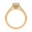 Billie Tulip Cathedral Solitaire Setting