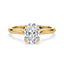 Billie Tulip Cathedral Solitaire Setting