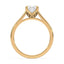 Billie Tulip Cathedral Solitaire Setting