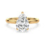 Billie Tulip Cathedral Solitaire Setting