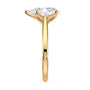 lm-preview|billie-tulip-cathedral-solitaire-setting|yellow|pear