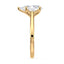 Billie Tulip Cathedral Solitaire Setting