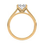 lm-preview|billie-tulip-cathedral-solitaire-setting|yellow|pear