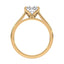 Billie Tulip Cathedral Solitaire Setting