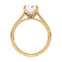 lm-preview|billie-tulip-cathedral-solitaire-setting|yellow|radiant