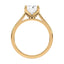 Billie Tulip Cathedral Solitaire Setting