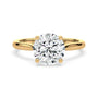lm-preview|billie-tulip-cathedral-solitaire-setting|yellow|round