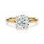 Billie Tulip Cathedral Solitaire Setting