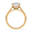 Billie Tulip Cathedral Solitaire Setting