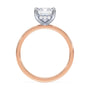 lm-preview|blair-hidden-halo-solitaire-setting|tt-rose|emerald