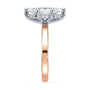lm-preview|blair-hidden-halo-solitaire-setting|tt-rose|marquise