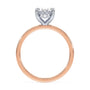 lm-preview|blair-hidden-halo-solitaire-setting|tt-rose|oval