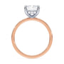 lm-preview|blair-hidden-halo-solitaire-setting|tt-rose|radiant
