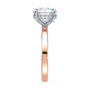 lm-preview|blair-hidden-halo-solitaire-setting|tt-rose|round