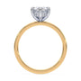 lm-preview|blair-hidden-halo-solitaire-setting|tt-yellow|marquise