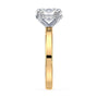 lm-preview|blair-hidden-halo-solitaire-setting|tt-yellow|oval