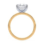 lm-preview|blair-hidden-halo-solitaire-setting|tt-yellow|pear