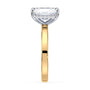 lm-preview|blair-hidden-halo-solitaire-setting|tt-yellow|radiant