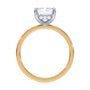 lm-preview|blair-hidden-halo-solitaire-setting|tt-yellow|radiant