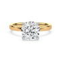 lm-preview|blair-hidden-halo-solitaire-setting|tt-yellow|round