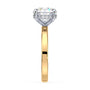 lm-preview|blair-hidden-halo-solitaire-setting|tt-yellow|round