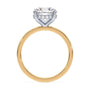 lm-preview|blair-hidden-halo-solitaire-setting|tt-yellow|round