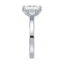 lm-preview|blair-hidden-halo-solitaire-setting|white|elongated-cushion