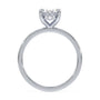 lm-preview|blair-hidden-halo-solitaire-setting|white|oval