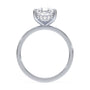 lm-preview|blair-hidden-halo-solitaire-setting|white|pear