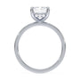lm-preview|blair-hidden-halo-solitaire-setting|white|radiant