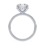 lm-preview|blair-hidden-halo-solitaire-setting|white|round