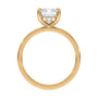 lm-preview|blair-hidden-halo-solitaire-setting|yellow|emerald