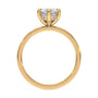 lm-preview|blair-hidden-halo-solitaire-setting|yellow|marquise
