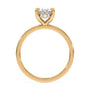 lm-preview|blair-hidden-halo-solitaire-setting|yellow|oval