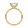 lm-preview|blair-hidden-halo-solitaire-setting|yellow|pear