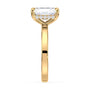 lm-preview|blair-hidden-halo-solitaire-setting|yellow|radiant