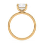 lm-preview|blair-hidden-halo-solitaire-setting|yellow|radiant
