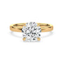 lm-preview|blair-hidden-halo-solitaire-setting|yellow|round