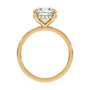 lm-preview|blair-hidden-halo-solitaire-setting|yellow|round