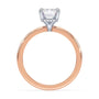 lm-preview|brooklyn-hidden-halo-solitaire-setting|tt-rose|emerald