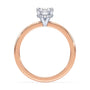 lm-preview|brooklyn-hidden-halo-solitaire-setting|tt-rose|oval