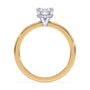 lm-preview|brooklyn-hidden-halo-solitaire-setting|tt-yellow|oval